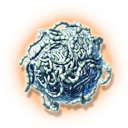 Synthetic Worms