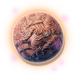Ground Meat