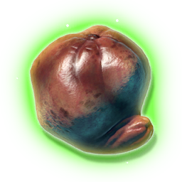 Fermented Fruit