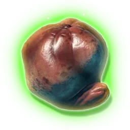 Fermented Fruit