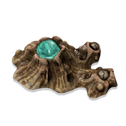 Barnacle