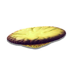Saucer Fungus