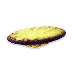 Saucer Fungus