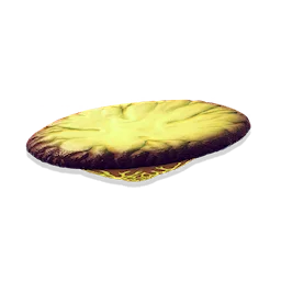 Saucer Fungus