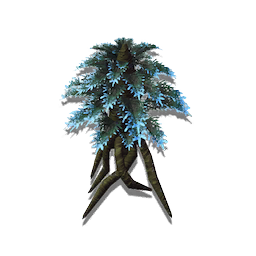 Hardy Shrub