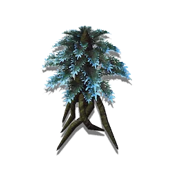 Hardy Shrub