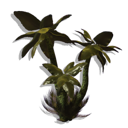 Desert Star