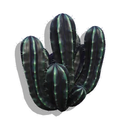 Pipe Cactus