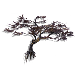 Ornamental Tree