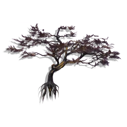 Ornamental Tree