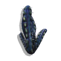 Torque Cactus