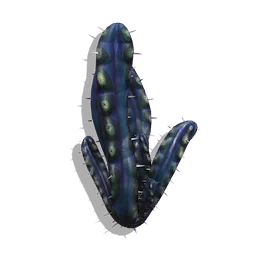Torque Cactus