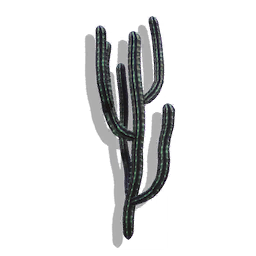 Tine Cactus