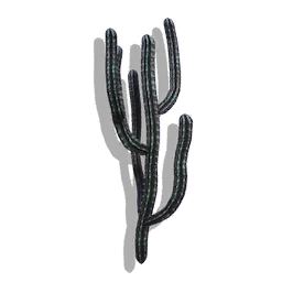 Tine Cactus