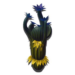 Bewitching Cactus
