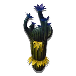 Bewitching Cactus
