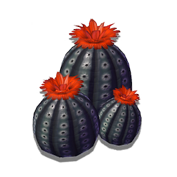 Celebratory Cactus