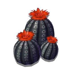 Celebratory Cactus