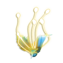 Tassel Weed