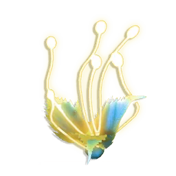 Tassel Weed