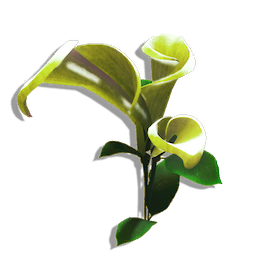 Spoonleaf
