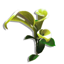 Spoonleaf