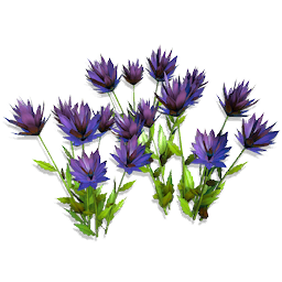 Nighttongue Flowers