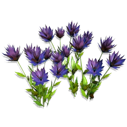 Nighttongue Flowers