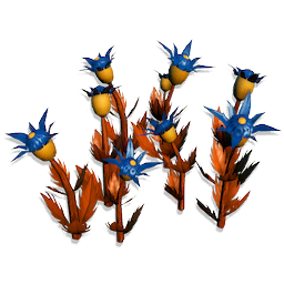 Urchin Flowers