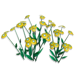 Eternal Eye Flowers