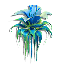 Floating Tassel Lily