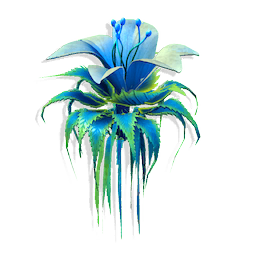 Floating Tassel Lily