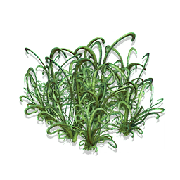 Looping Grass