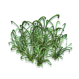 Looping Grass
