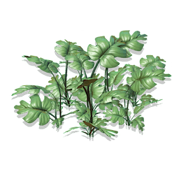 Cloven Paw Grass