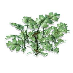 Cloven Paw Grass