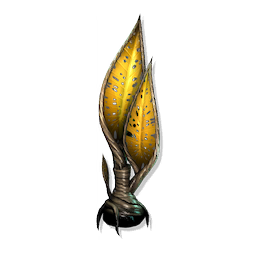Sail Palm