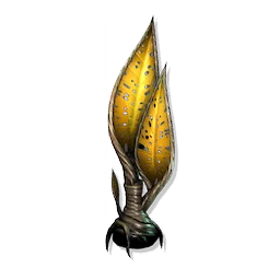 Sail Palm