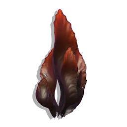 Ember Frond