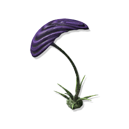 Plate Stem