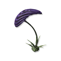 Plate Stem