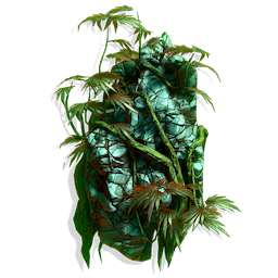 Rubber Plant Rock