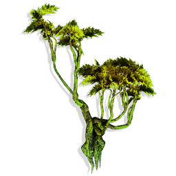 Twisted Jungle Tree