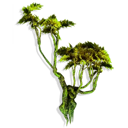 Twisted Jungle Tree