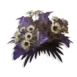 Perennial Snowstar