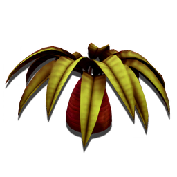 Dwarf Palm