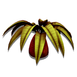Dwarf Palm