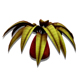 Dwarf Palm