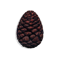 Closed Seed Cone