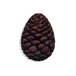 Closed Seed Cone